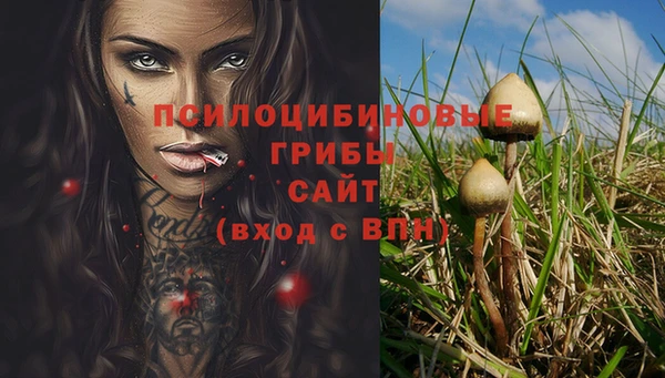 бошки Алзамай