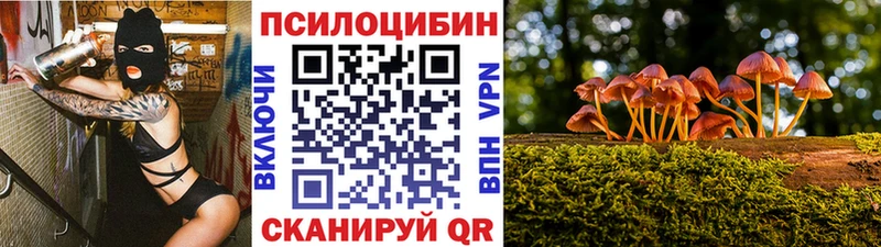 Галлюциногенные грибы GOLDEN TEACHER  купить закладку  Южно-Сухокумск 